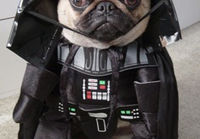 Darth The dog