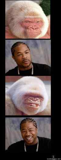 Xzibit