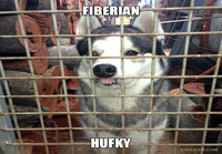 Hufky