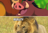 Cartoon vs reality