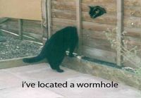 Wormhole