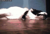 sleeping fail