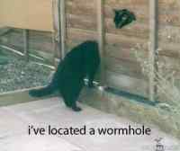 Wormhole