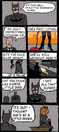 cat woman batman