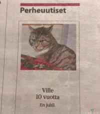 ville ei juhli