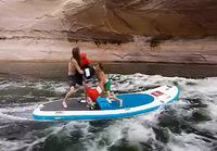 Paddleboard boxing