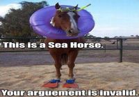 Sea horse