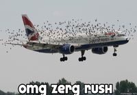 Zerg rush