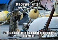 MacGyver kissa