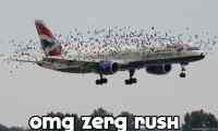 Zerg rush