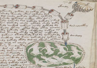 Voynich manuscript