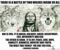 Two wolves