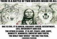 Two wolves