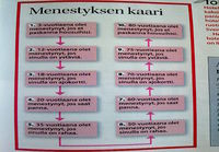 Menestyksen kaari