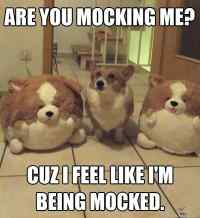 Mocking