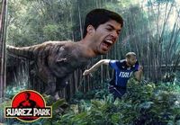 suarez taas