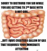 Scumbag intestine