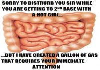 Scumbag intestine