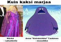 Kuin kaksi marjaa