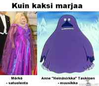 Kuin kaksi marjaa