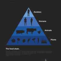 Food Pyramid - ravintoketju