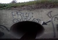 Free cuddles