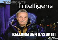 Fintelligens