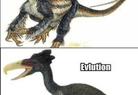 Evoluutio