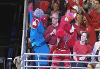 Benny the bull