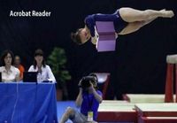 Acrobat reader