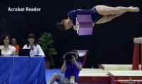 Acrobat reader - :3