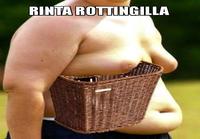 Rinta rottingilla