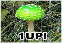 1up