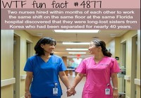 Fun fact