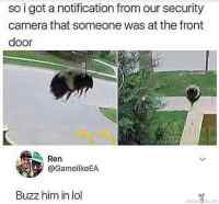 Bee buzzzz