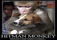 Hitman Monkey