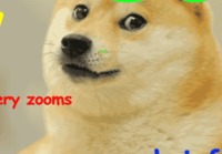 Viimenen Doge