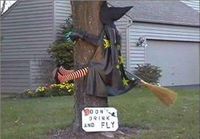 Dont drink and fly