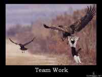 Teamwork