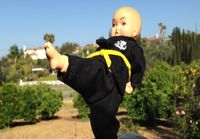 Kung Fu Baby