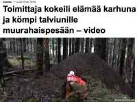 Toimittaja karhuna