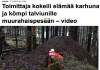 Toimittaja karhuna