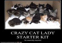 crazy cat lady starter kit