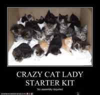 crazy cat lady starter kit