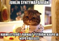 Kissan syntymäpäivät