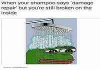 Shampoo