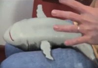 Baby Shark