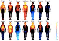 Kuinka eri tunnetilat vaikuttavat kropassa