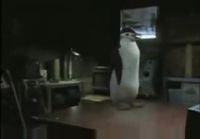 Ping Pong Penguin