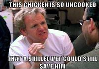 Gordon Ramsay